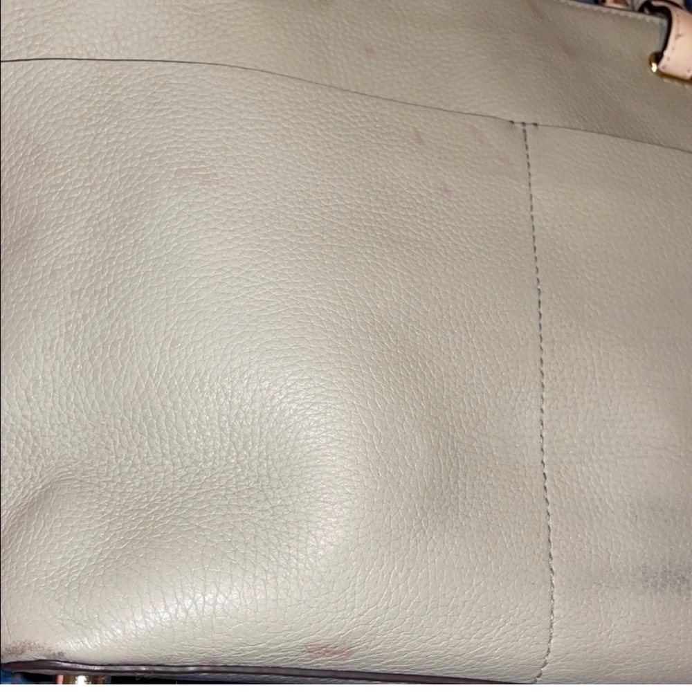 Michael Kors Sage Green tote Giveaway! - Picture 7 of 14